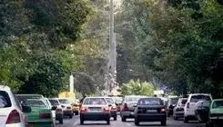  مرثیه ‎ای برای درختان تهران