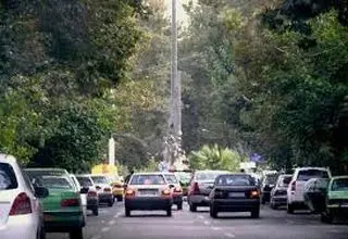  مرثیه ‎ای برای درختان تهران