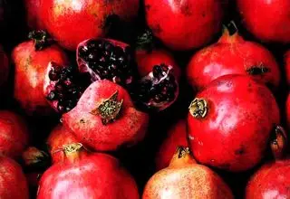 مرگ مرد میانسال در شب یلدا