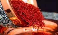 زعفران نوبرانه نگین وارد بازار شد