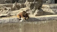 خبر فوری و مهم برای دانش‌آموزان و خانواده‌ها