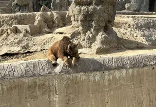 خبر فوری و مهم برای دانش‌آموزان و خانواده‌ها