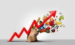 اعلام نرخ تورم کالاهای وارداتی و صادراتی