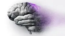 ردپای لیتیوم در محافظت از مغز در برابر آلزایمر