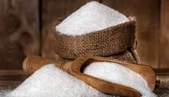 آغاز ثبت سفارش واردات شکر خام | دولت به‌دنبال تعادل بازار در زمستان