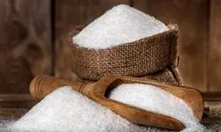 آغاز ثبت سفارش واردات شکر خام | دولت به‌دنبال تعادل بازار در زمستان