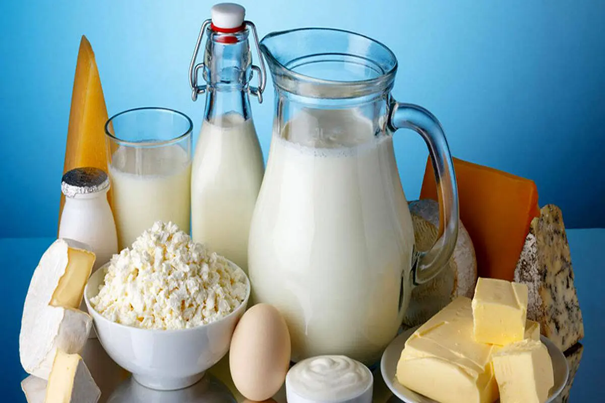 بازار سیاه لبنیات سنتی 