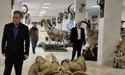 انتقال نمونه‌های ارزشمند موزه تاریخ طبیعی پردیسان