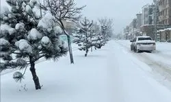 زمان دقیق شروع بارش برف در تهران اعلام شد