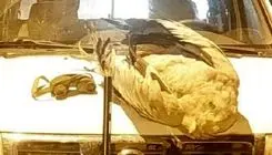 کشف لاشه درنای خاکستری در پارک ملی بختگان