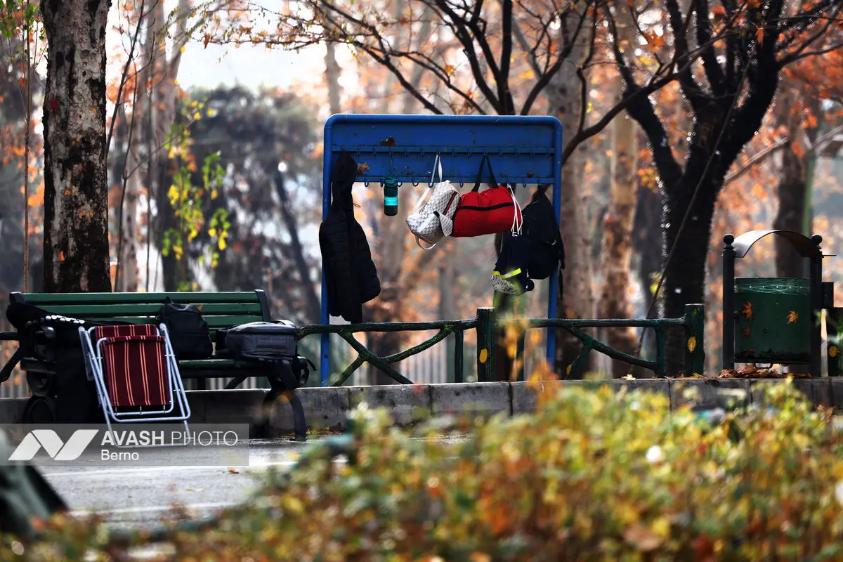 همايش بايبزى تای جی