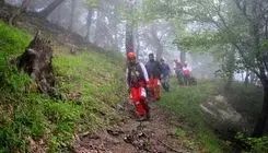  12 گردشگر در جنگل‌های صعب‌العبور فیلبند مفقود شدند