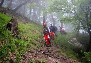12 گردشگر در جنگلهای صعبالعبور فیلبند مفقود شدند