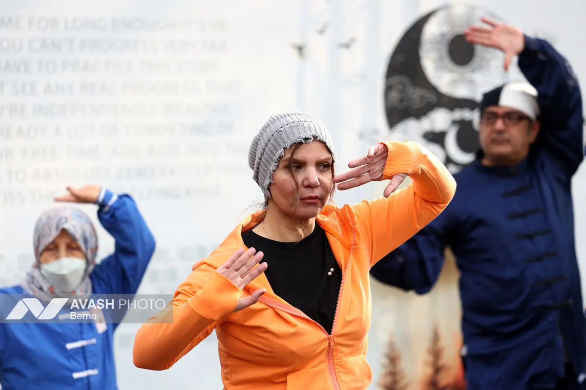 همايش بايبزى تای جی