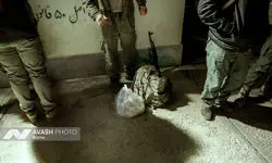 سرشماری پاییزه حیات‌وحش در پارک ملی گلستان