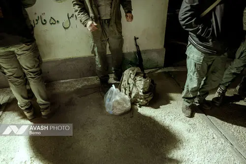 سرشماری پاییزه حیات‌وحش در پارک ملی گلستان