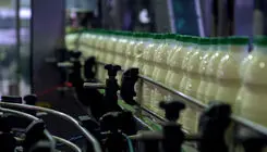 حذف یارانه از واردات نهاده های دامی به متعادل شدن قیمت می‌انجامد