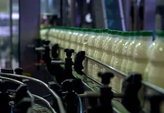 حذف یارانه از واردات نهاده های دامی به متعادل شدن قیمت می‌انجامد