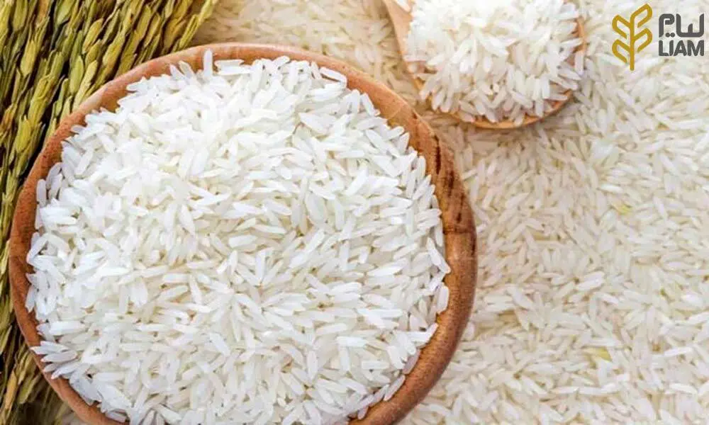 مجوز واردات ۱۲۰ هزار تن برنج پاکستانی صادر شد