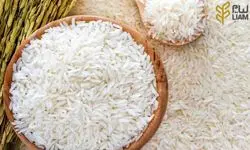 مجوز واردات ۱۲۰ هزار تن برنج پاکستانی صادر شد