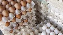 آغاز خرید حمایتی تخم‌مرغ برای صادرات به کشورهای همسایه