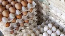آغاز خرید حمایتی تخم‌مرغ برای صادرات به کشورهای همسایه