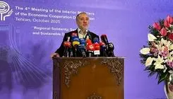 ۳۸ درصد صادرات ایران به افغانستان از استان خراسان جنوبی انجام می‌شود