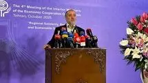 ۳۸ درصد صادرات ایران به افغانستان از استان خراسان جنوبی انجام میشود