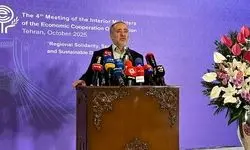 ۳۸ درصد صادرات ایران به افغانستان از استان خراسان جنوبی انجام می‌شود