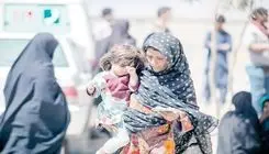 کالابرگ، یار کمکی برای مصرف پروتئین ایرانیان