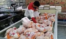 در بازار مرغ هیچ تنشی وجود ندارد