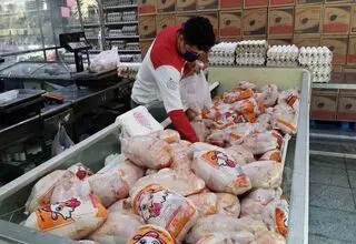 در بازار مرغ هیچ تنشی وجود ندارد