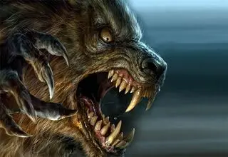 مسئله این است؛ سگ، گرگ یا گرگاس؟