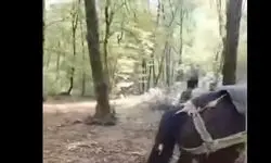 فیلم لحظه دستگیری متخلف قطع درخت در جنگل‌های مازندران