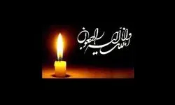 سرپرست هیئت روئینگ استان خوزستان به شهادت رسید