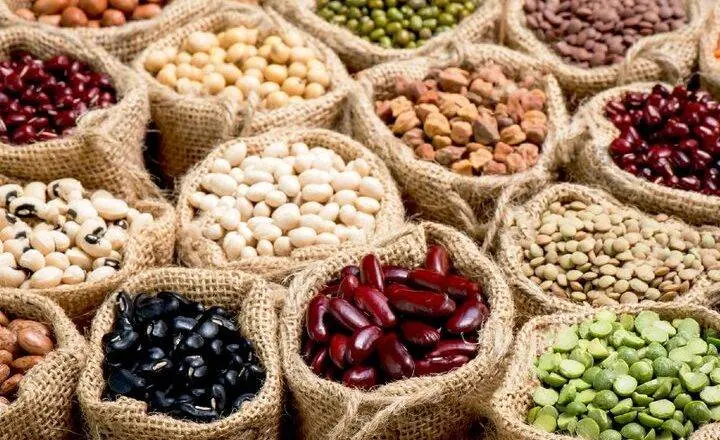 قیمت لوبیا به ۵۰۰ هزار تومان رسید؛ چرا حبوبات لاکچری شد؟