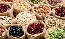 قیمت لوبیا به ۵۰۰ هزار تومان رسید؛ چرا حبوبات لاکچری شد؟