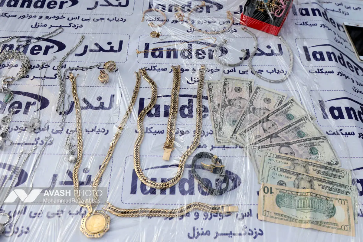 اجرای طرح دستگیری سارقان و مالخران در شهر تهران