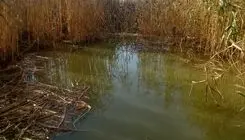 فداکاری تکنسین اورژانس برای نجات دختر ۶ساله