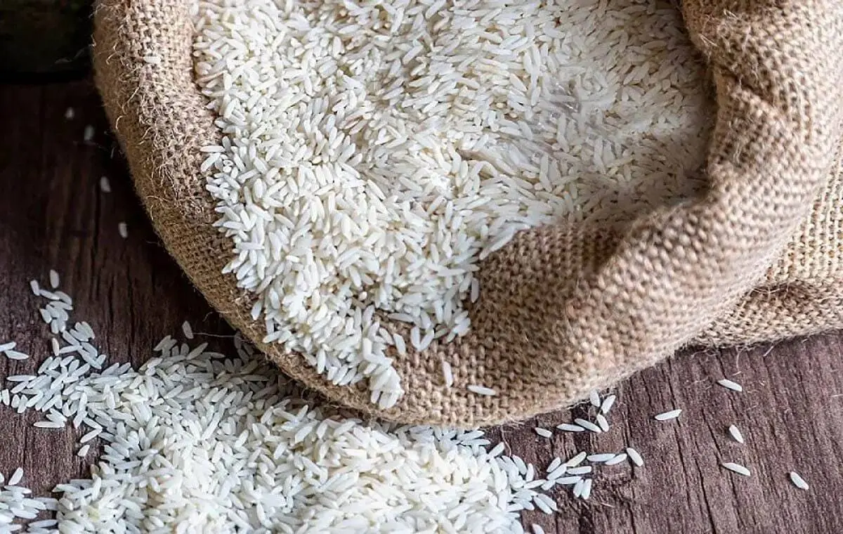 ۹ ماه است واردکنندگان برنج ارزی دریافت نکردهاند