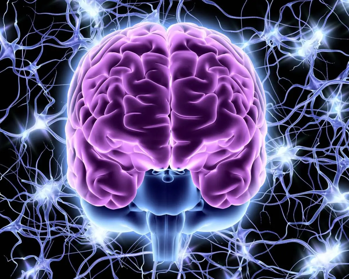 چرا مغز ما ، خاطرات بد را، آسان تر به یاد می آورد؟