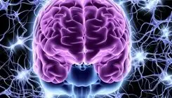 چرا مغز ما ، خاطرات بد را، آسان تر به یاد می آورد؟