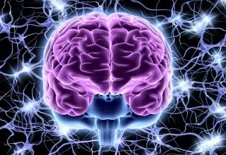 چرا مغز ما ، خاطرات بد را، آسان تر به یاد می آورد؟