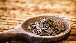 درمان دردهای پس از زایمان با این گیاه