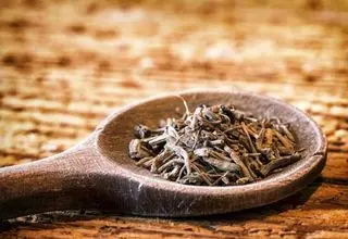 درمان دردهای پس از زایمان با این گیاه