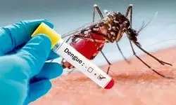 شناسایی ۱۷ مورد بیمار مبتلا به تب دنگی در کشور