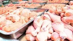 خبر خوب درباره تنظیم بازار مرغ اعلام شد