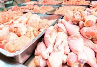 خبر خوب درباره تنظیم بازار مرغ اعلام شد