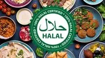 چرا سهم ایران در تولید و صادرات محصولات حلال ناچیز است؟ 