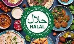 چرا سهم ایران در تولید و صادرات محصولات حلال ناچیز است؟ 